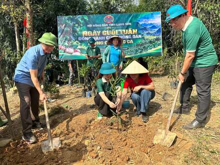 Triển khai Nghị quyết 02