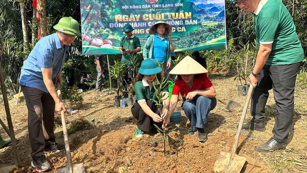 NGÀY CUỐI TUẦN ĐỒNG HÀNH CÙNG NÔNG DÂN TRỒNG CÂY MẮC CA