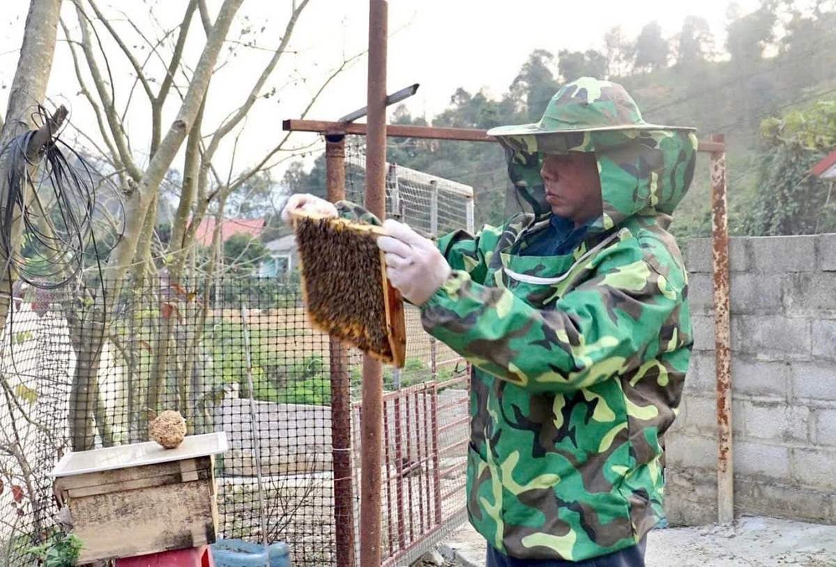 Mô hình nuôi ong lấy mật được triển khai tại xã Đồng Đăng, giúp người dân có thêm sinh kế, từng bước cải thiện thu nhập. Ảnh: Hoàng Nghĩa.